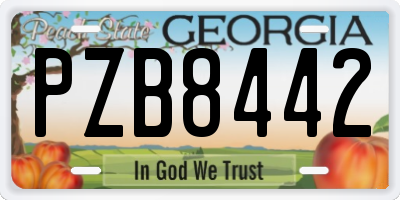 GA license plate PZB8442