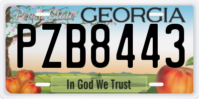 GA license plate PZB8443