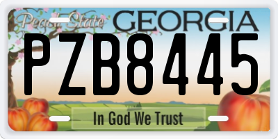 GA license plate PZB8445