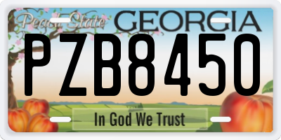 GA license plate PZB8450