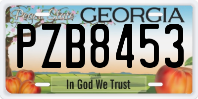 GA license plate PZB8453