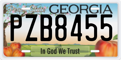 GA license plate PZB8455