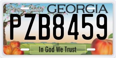 GA license plate PZB8459