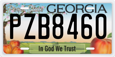 GA license plate PZB8460