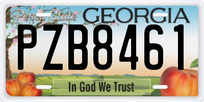 GA license plate PZB8461