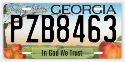 GA license plate PZB8463