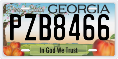 GA license plate PZB8466