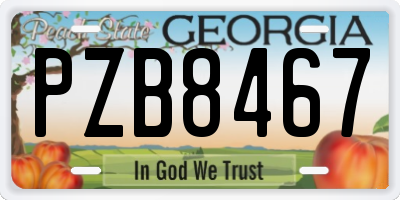 GA license plate PZB8467
