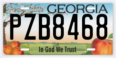 GA license plate PZB8468