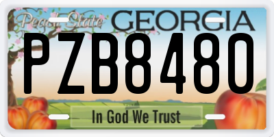 GA license plate PZB8480