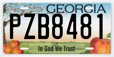 GA license plate PZB8481
