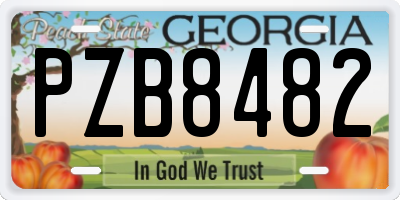 GA license plate PZB8482