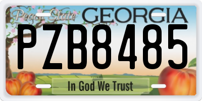 GA license plate PZB8485