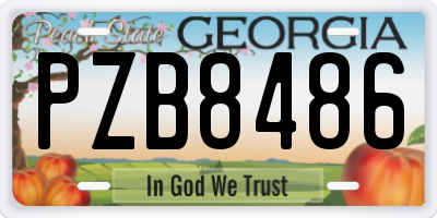 GA license plate PZB8486