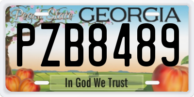 GA license plate PZB8489
