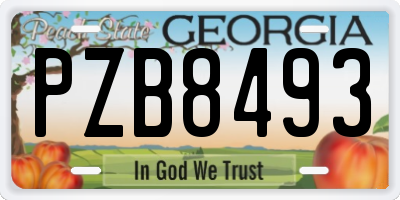 GA license plate PZB8493