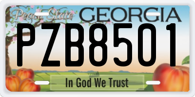 GA license plate PZB8501