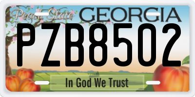 GA license plate PZB8502