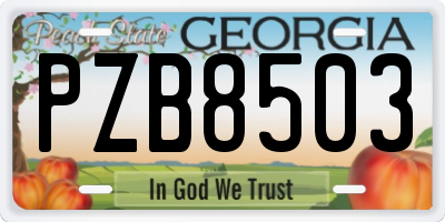 GA license plate PZB8503