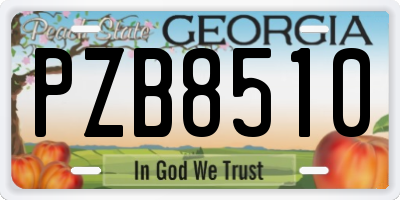 GA license plate PZB8510