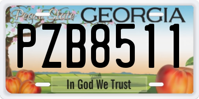 GA license plate PZB8511