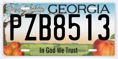GA license plate PZB8513