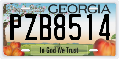 GA license plate PZB8514