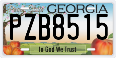 GA license plate PZB8515