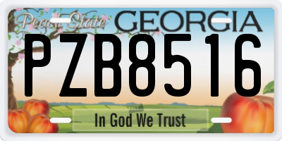 GA license plate PZB8516