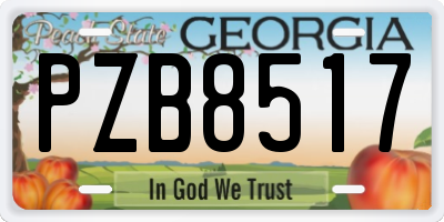 GA license plate PZB8517