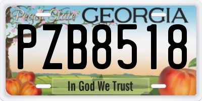 GA license plate PZB8518