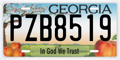 GA license plate PZB8519