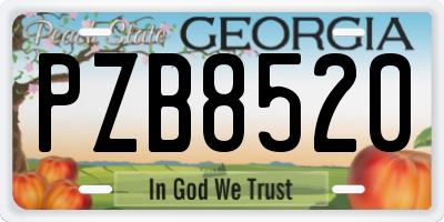 GA license plate PZB8520