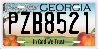 GA license plate PZB8521