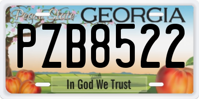 GA license plate PZB8522