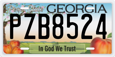 GA license plate PZB8524