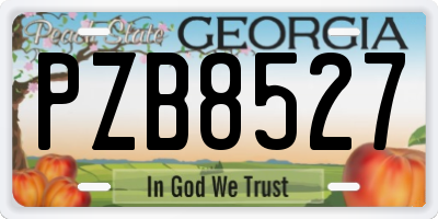 GA license plate PZB8527