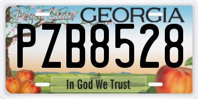 GA license plate PZB8528