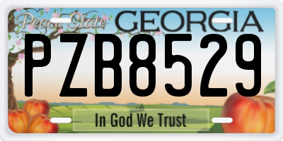 GA license plate PZB8529