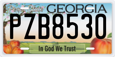 GA license plate PZB8530