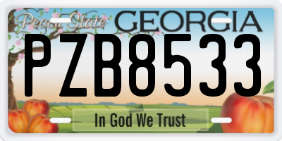 GA license plate PZB8533