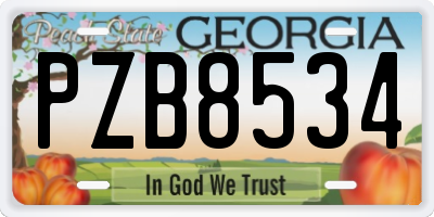 GA license plate PZB8534