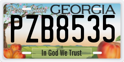 GA license plate PZB8535