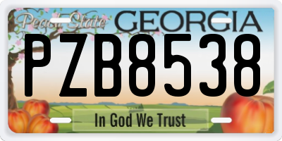 GA license plate PZB8538
