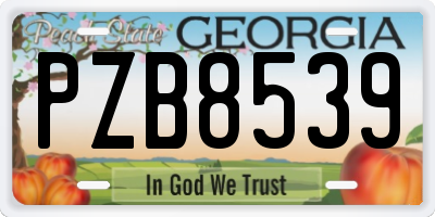 GA license plate PZB8539