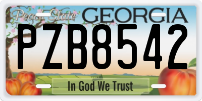 GA license plate PZB8542
