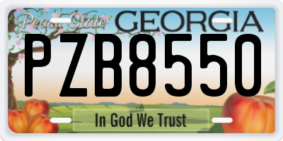 GA license plate PZB8550