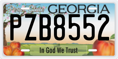 GA license plate PZB8552