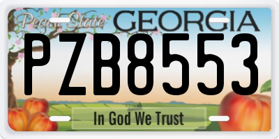 GA license plate PZB8553