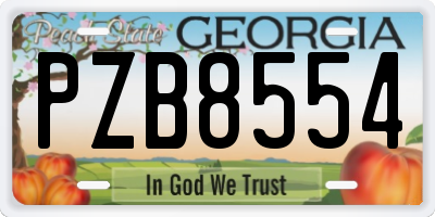 GA license plate PZB8554